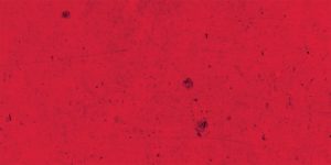 agence planete lyon fond rouge