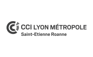 Logo CCI Lyon